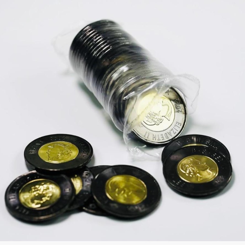 Premium Coin Storage Tube with Black and Gold Collector Coins